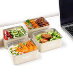 Falaj 3-Tier Lunch Box Set with Insulated Carry Bag